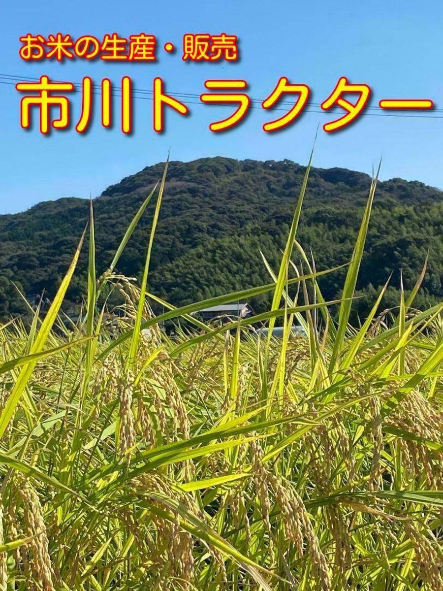 【R5年産 新米 今なら200g増量中！】コシヒカリ(白米 5kg)