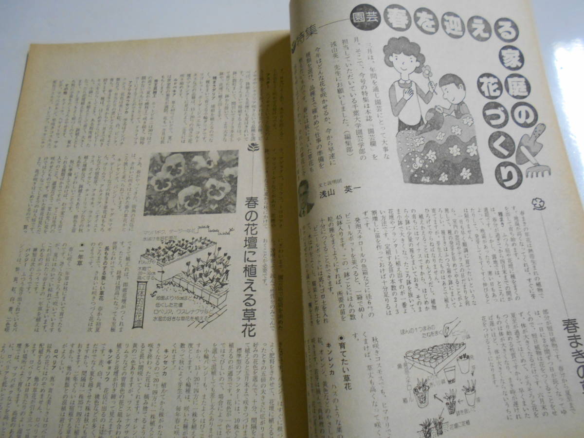 月刊 毎日夫人 1978年昭和54年3月 218 毎日新聞 表紙 大竹しのぶ_画像3