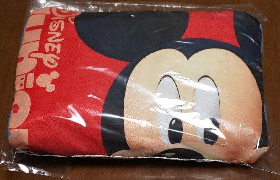 ディズニージュニア 折りたたみリュック