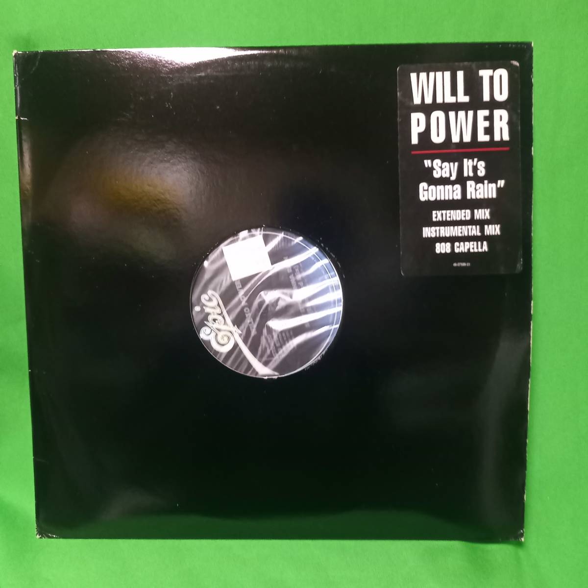 12' レコード Will To Power - Say It's Gonna Rain_画像1