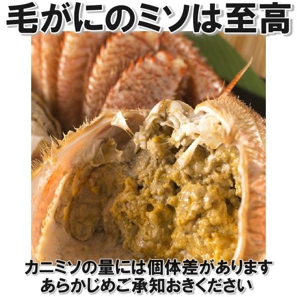 毛ガニ 4尾 （約２ｋｇ） 新物 北海道産 生食用 ボイル 　一折れだけど 身入り バッチリ_画像5