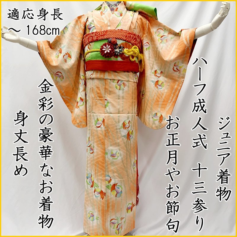 # половина день совершеннолетия 10 три три . первый котел Junior кимоно & открытие obi # хороший 311aj67