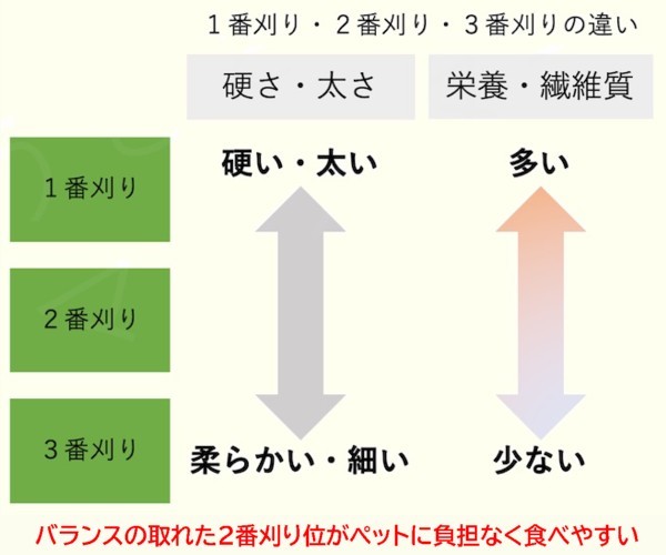 【11/30まで数量限定】 US産 チモシー 10kgソフト スーパープレミアム （２番刈り） /牧場運営の当方が見極めた極上チモシー_画像3