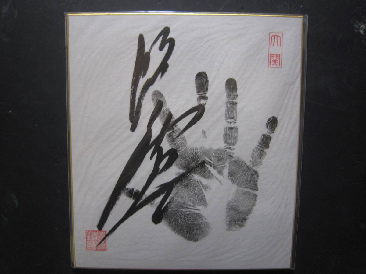 大相撲　照ノ富士　大関　手形　サイン　大関印入り　123