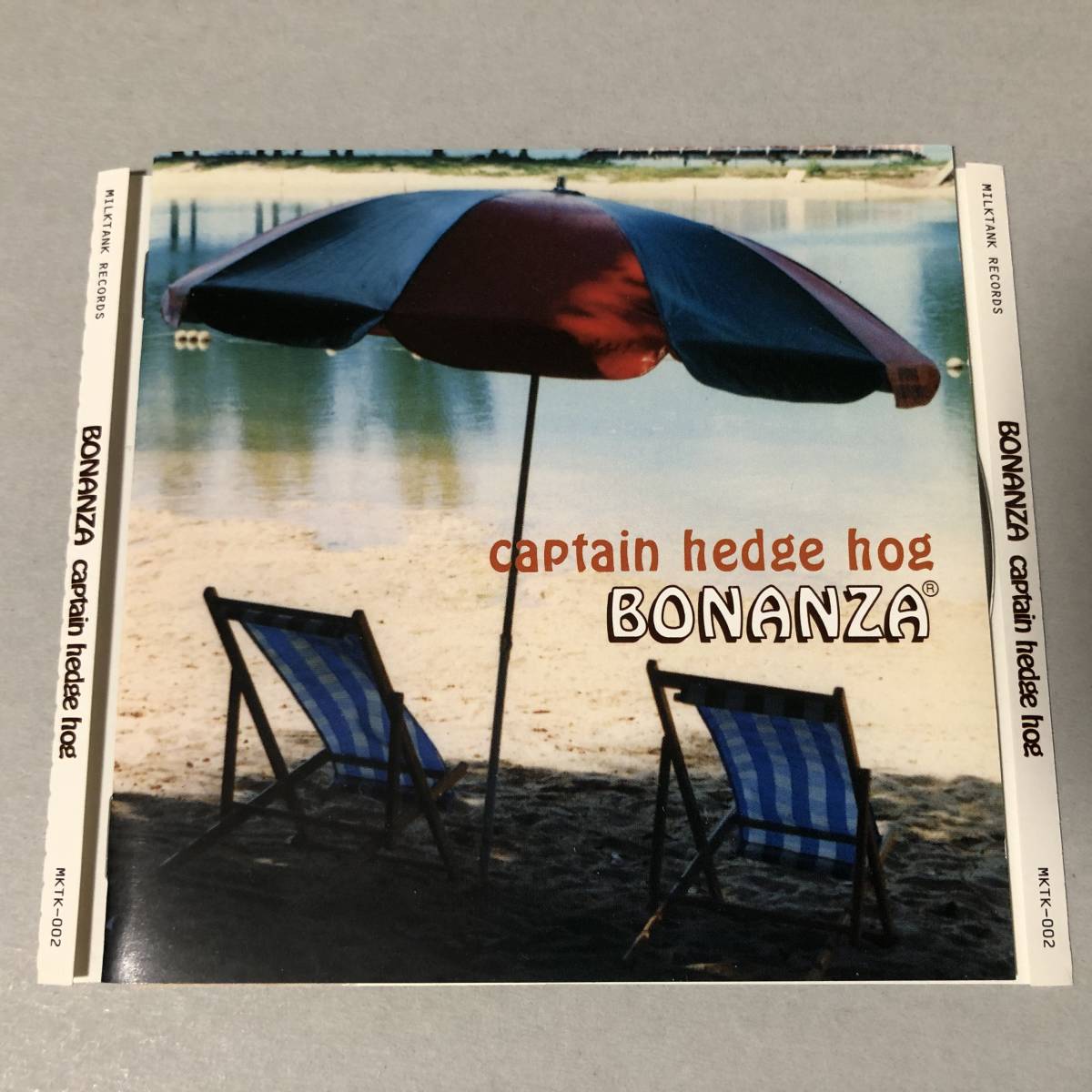 CAPTAIN HEDGE HOG CD キャプテンヘッジホッグ Pop Melodic Punk ポップ メロディック パンク_画像1