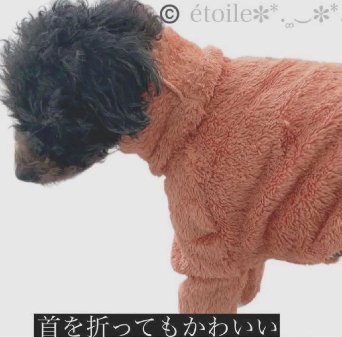 新品未使用 イタグレ　フリースタートル　ボア　防寒　ゆったり　ウィペット　多頭飼い　犬服 お散歩 Mサイズ 中型犬 