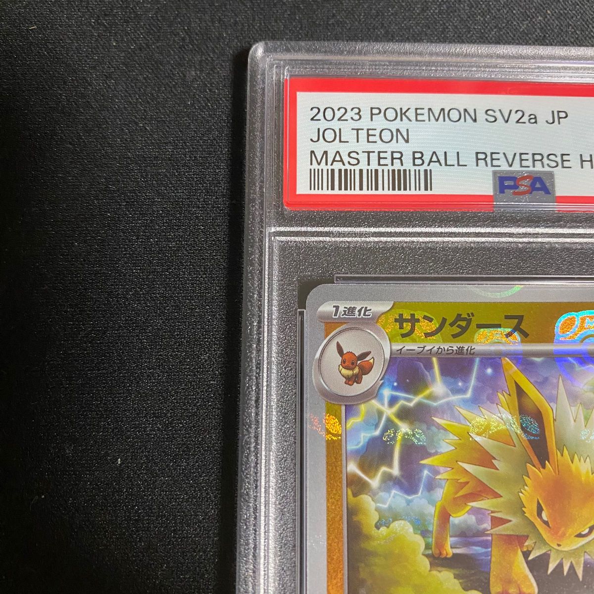 ポケカ サンダース マスターボール ミラー PSA10