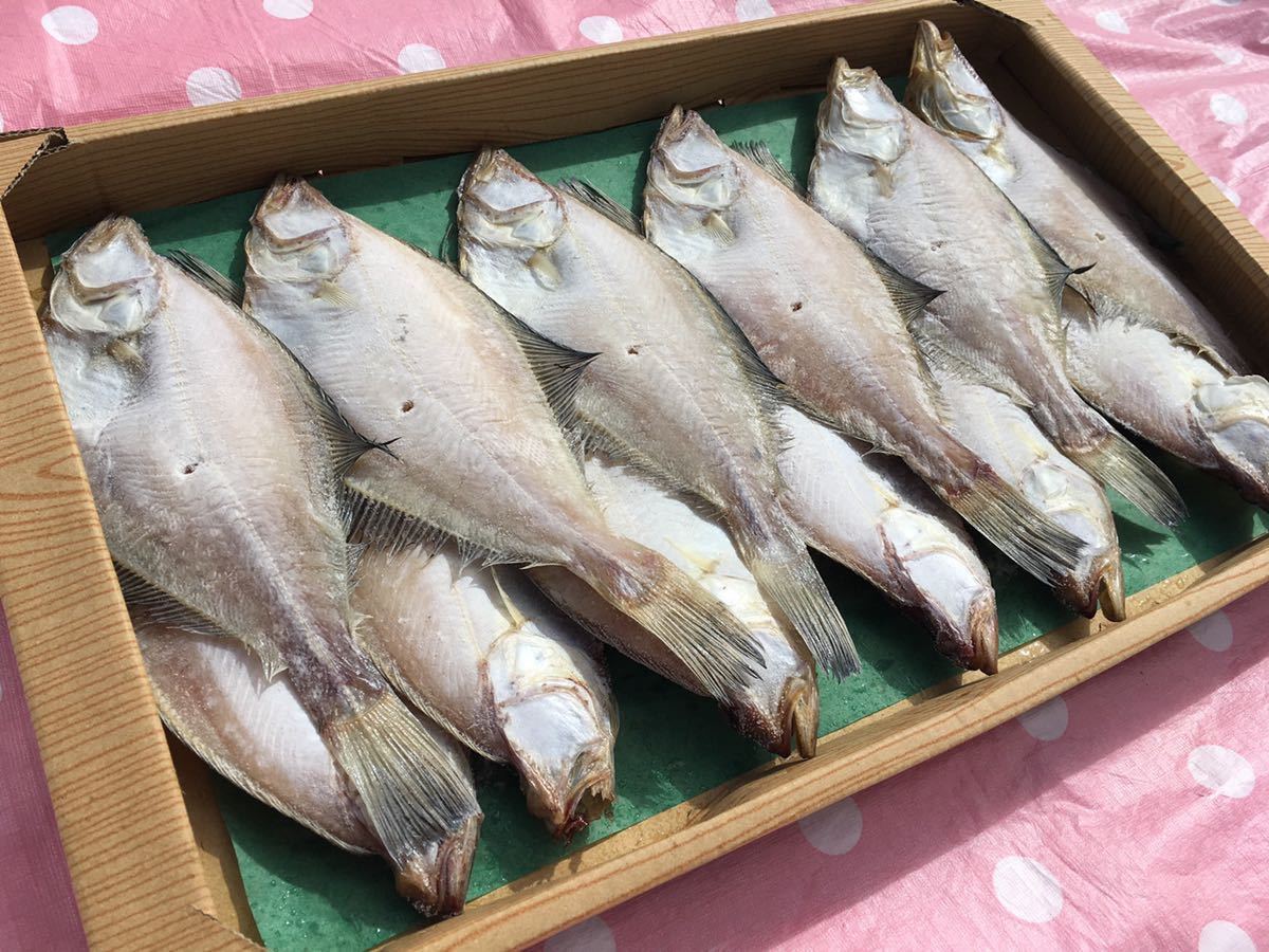 コロナの影響で、旅館の朝食用のカレイが残ってしまいました(＞人＜;) エテカレイ_画像1