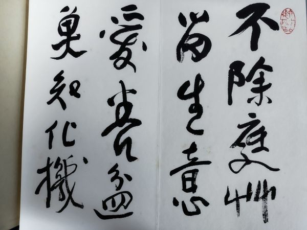 【限定400部】『村荘雑事』/会津八一/中央公論美術/昭和49年/輸送函/二重函/Y9910/mm*23_11/35-06-1A