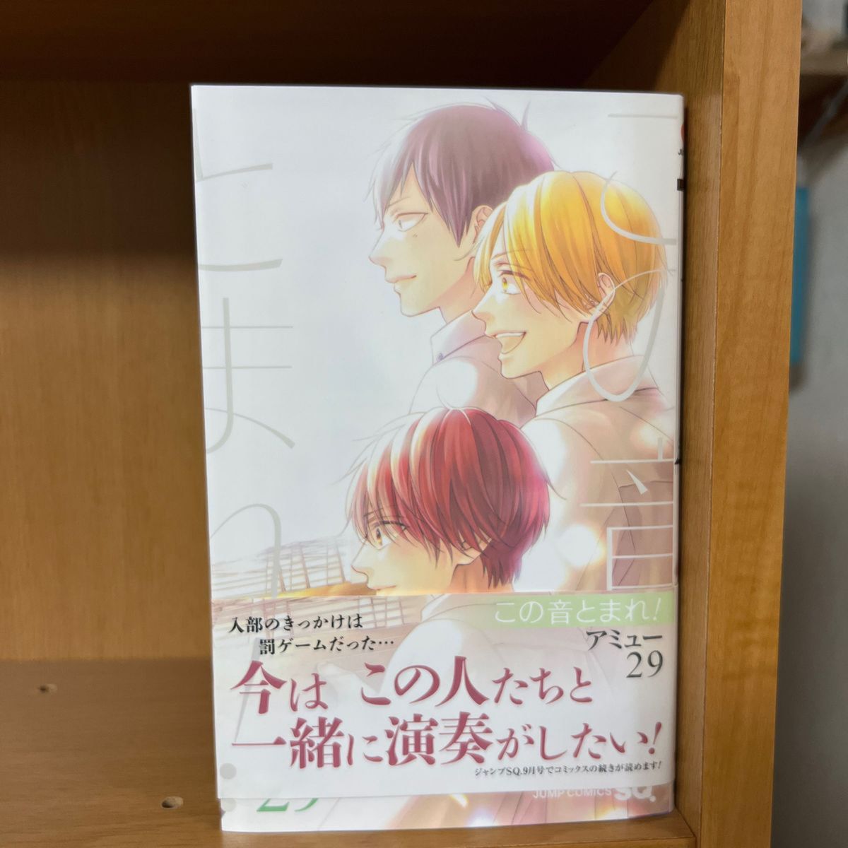 この音とまれ！ アミュー 全巻セット 1-29巻セット 漫画