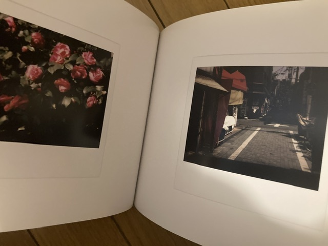 Bye Bye Polaroid forest mountain large road daido Moriyamabaibai Polaroid small . britain . deep ... higashi pine lighting cow .. male photoalbum T-shirt Terayama Shuuji 