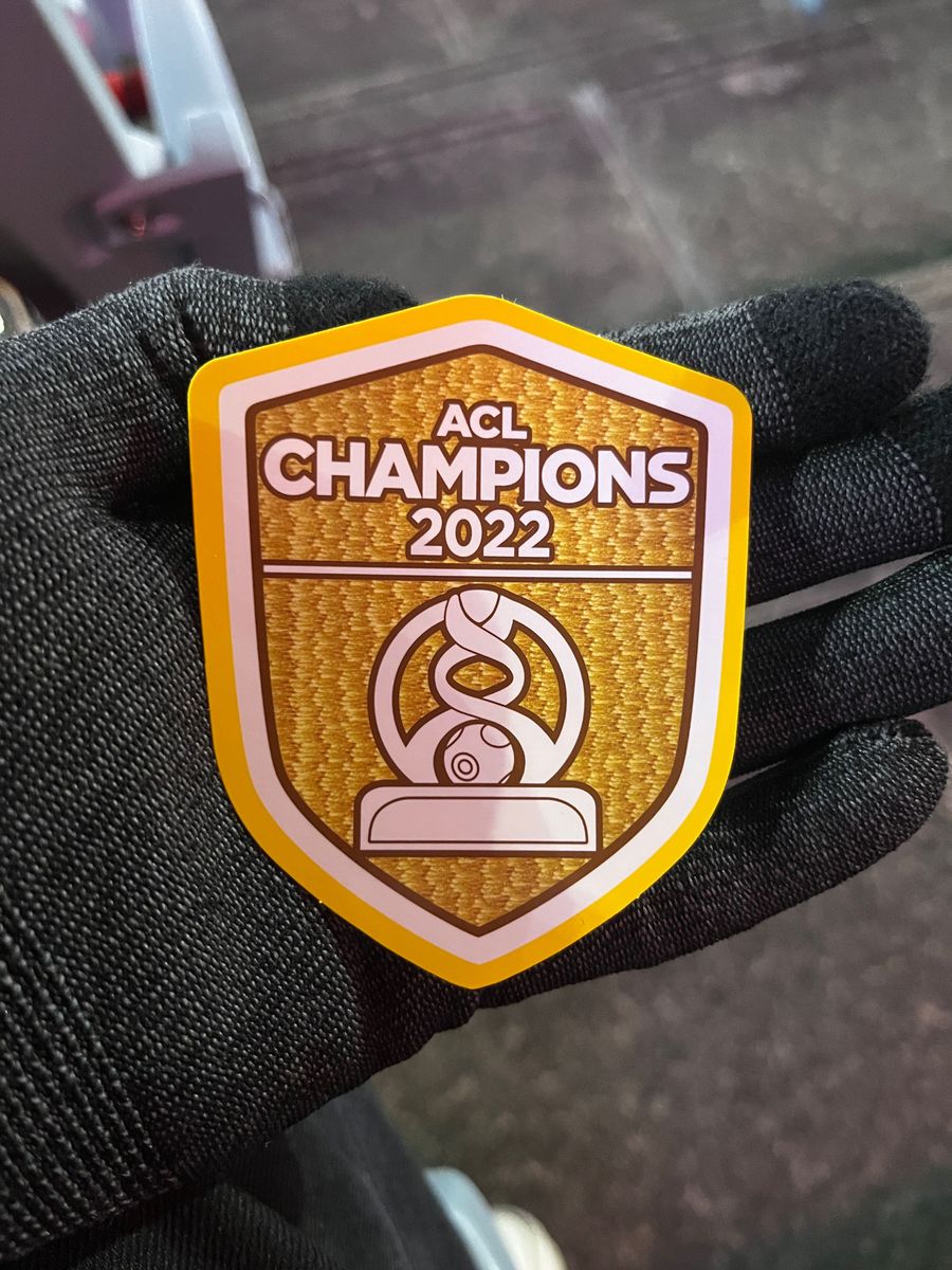 浦和レッズ ステッカー ACL優勝 Jリーグ優勝記念 浦和レッズ ACL 優勝記念 ステッカー|Yahoo!フリマ(旧PayPay