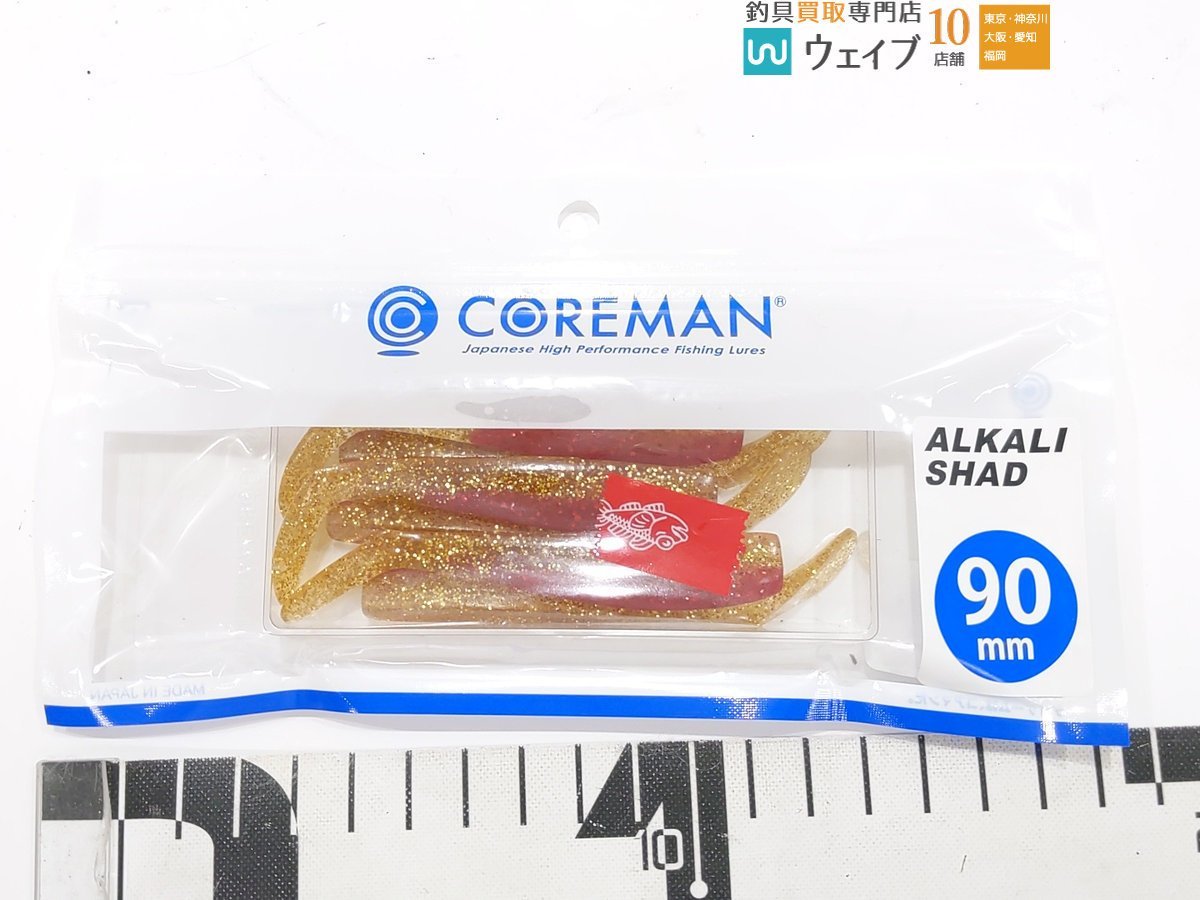 コアマン VJ 22g コアマン RJ 10g コアマン VJ 16g 等 シーバス ソルト 計8点 未使用＆中古_60F430970 (2).JPG