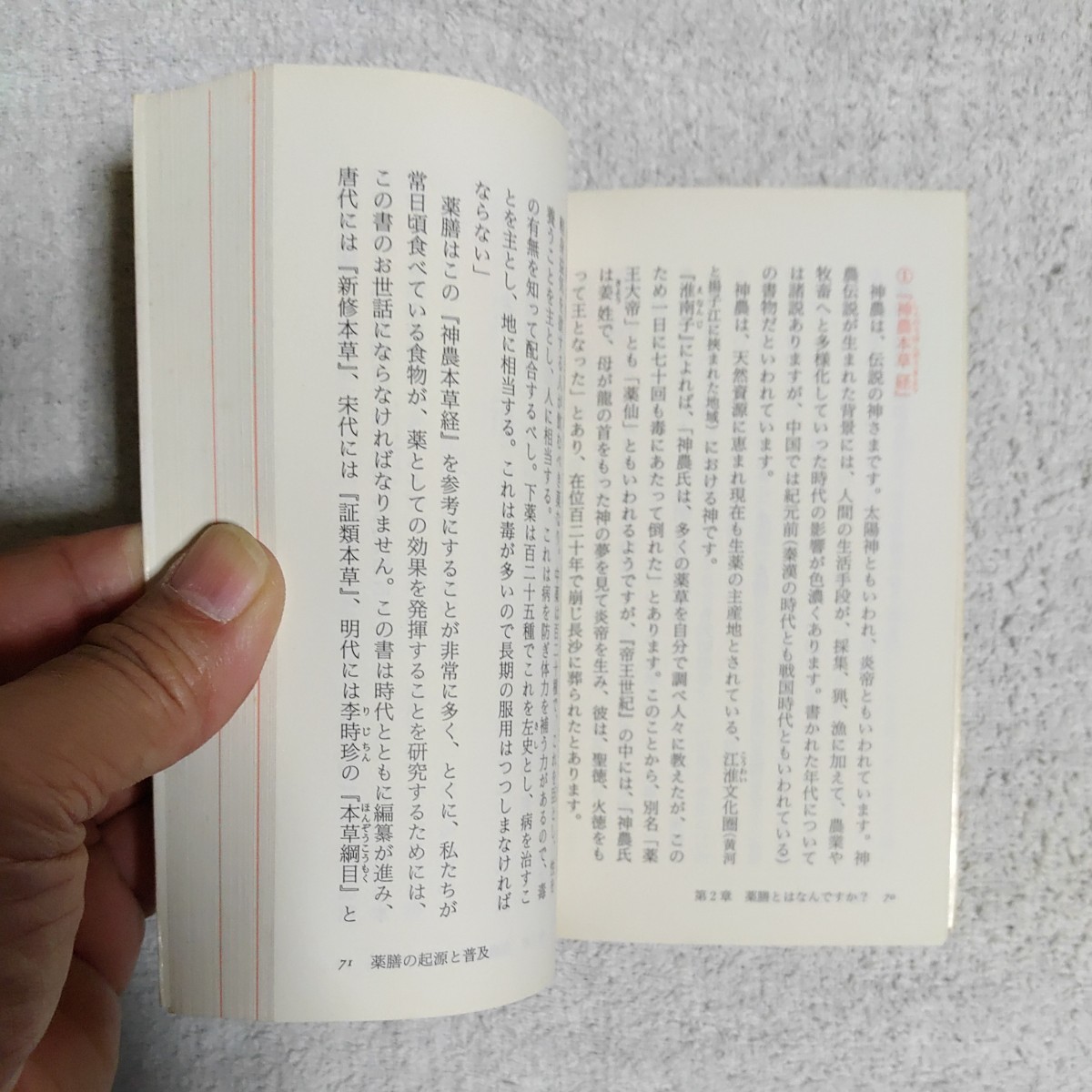 健康を食べよう〈1〉薬膳のすすめ (現代教養文庫) 正岡 慧子 9784390115117_画像6