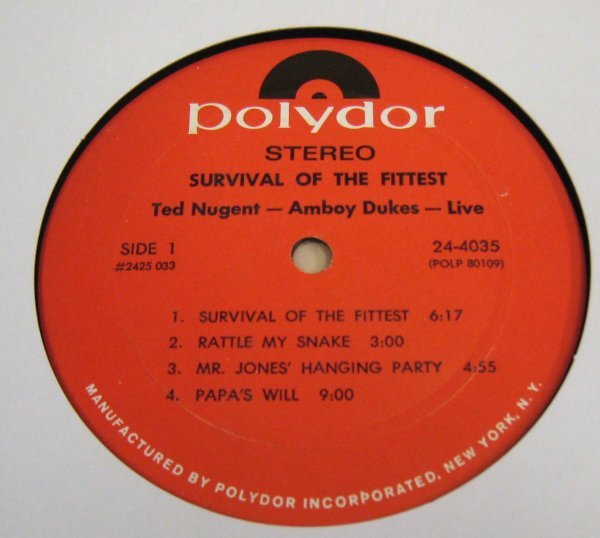 ^^ HARD ROCK 名盤 Ted Nugent And The Amboy Dukes Survival Of The Fittest - Live [US ORIG '71 Polydor 24-4035 ]_画像3