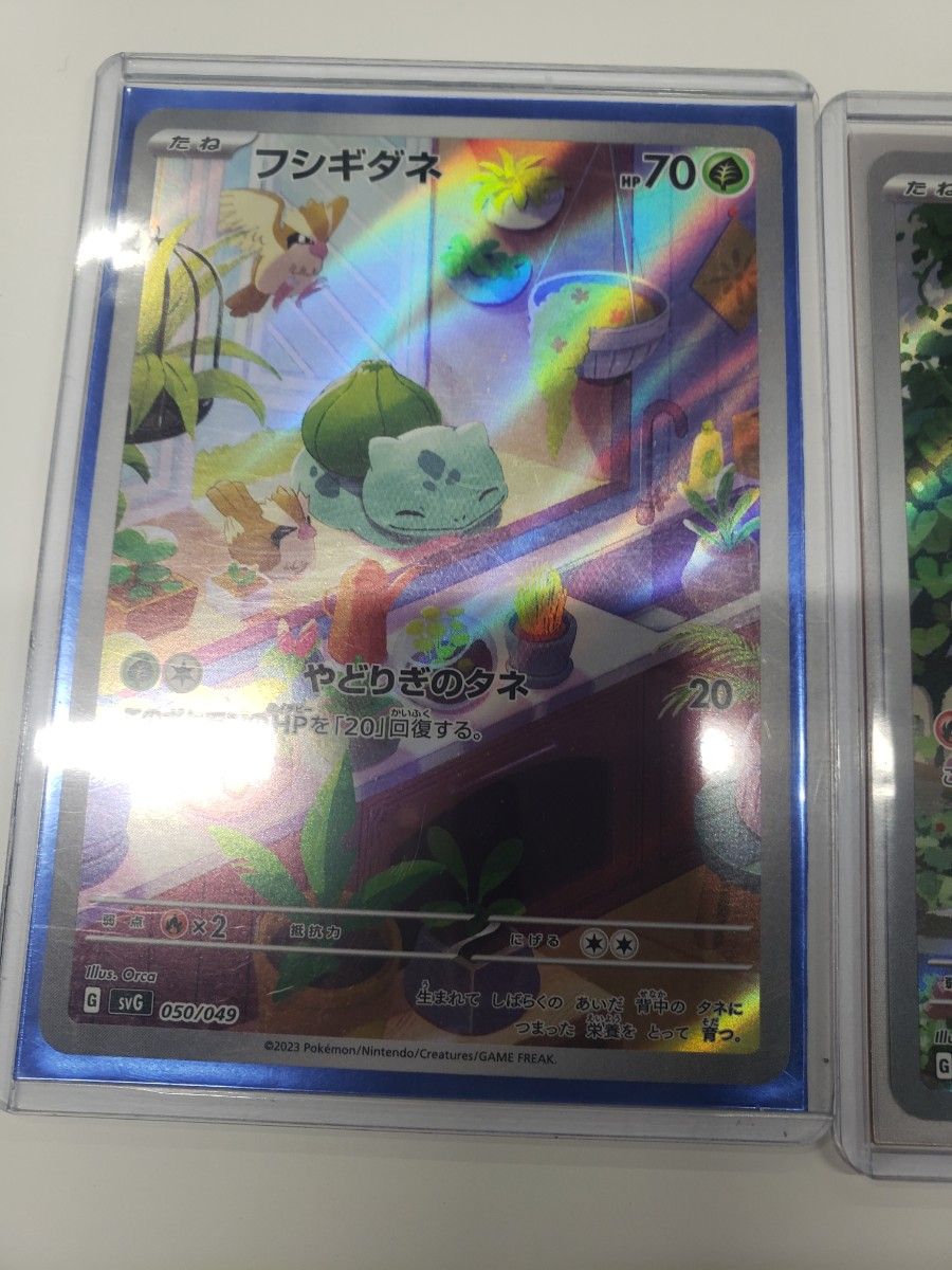 ポケモンカード ヒトカゲ ゼニガメ フシギダネ フルイラスト AR ポケモンカード ヒトカゲ ゼニガメ フシギダネ フルイラスト AR