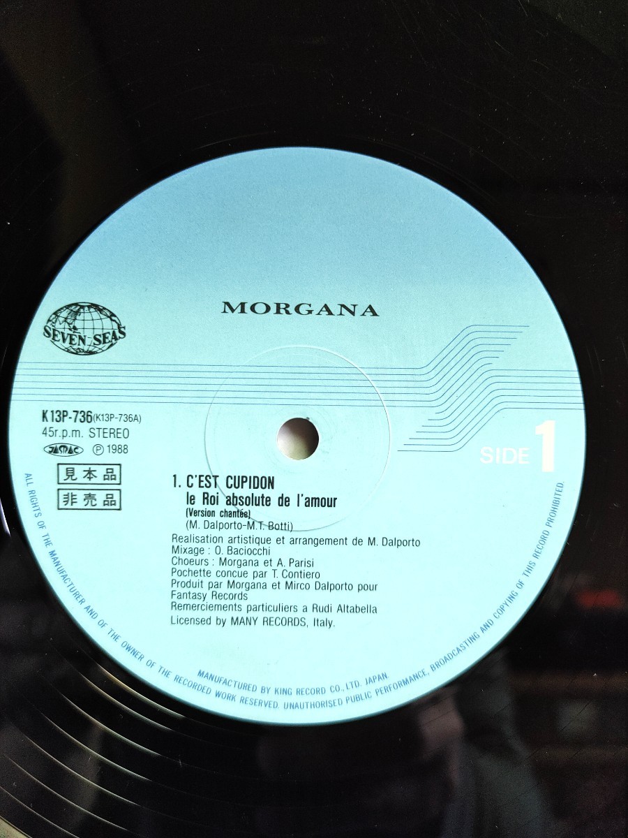 送料無料！レア盤！プロモ盤！　MORGANA　／ C'EST CUPIDON　12インチレコード　英語バージョン_画像3