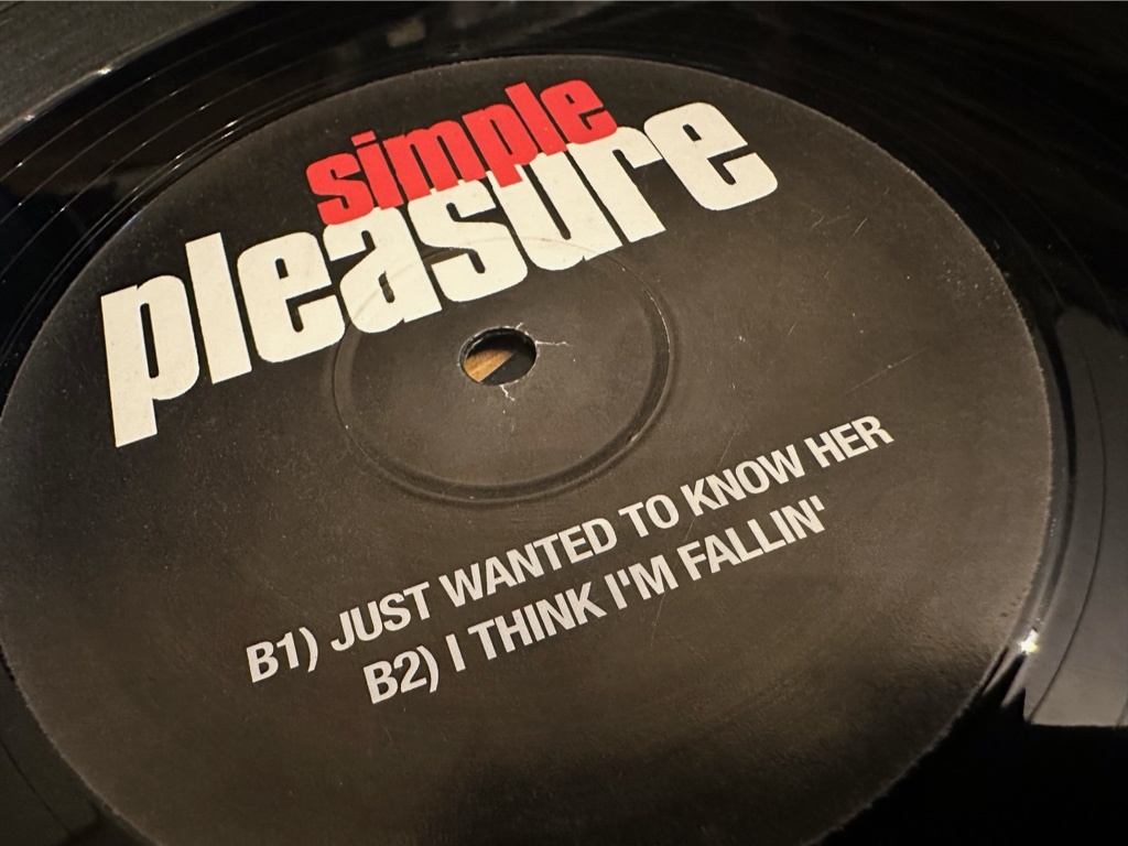 12”★Simple Pleasure 4 Track EP / New Jack Swing！Where Do We Go From Here / ust Wanted To Know Her / Never Before_画像1