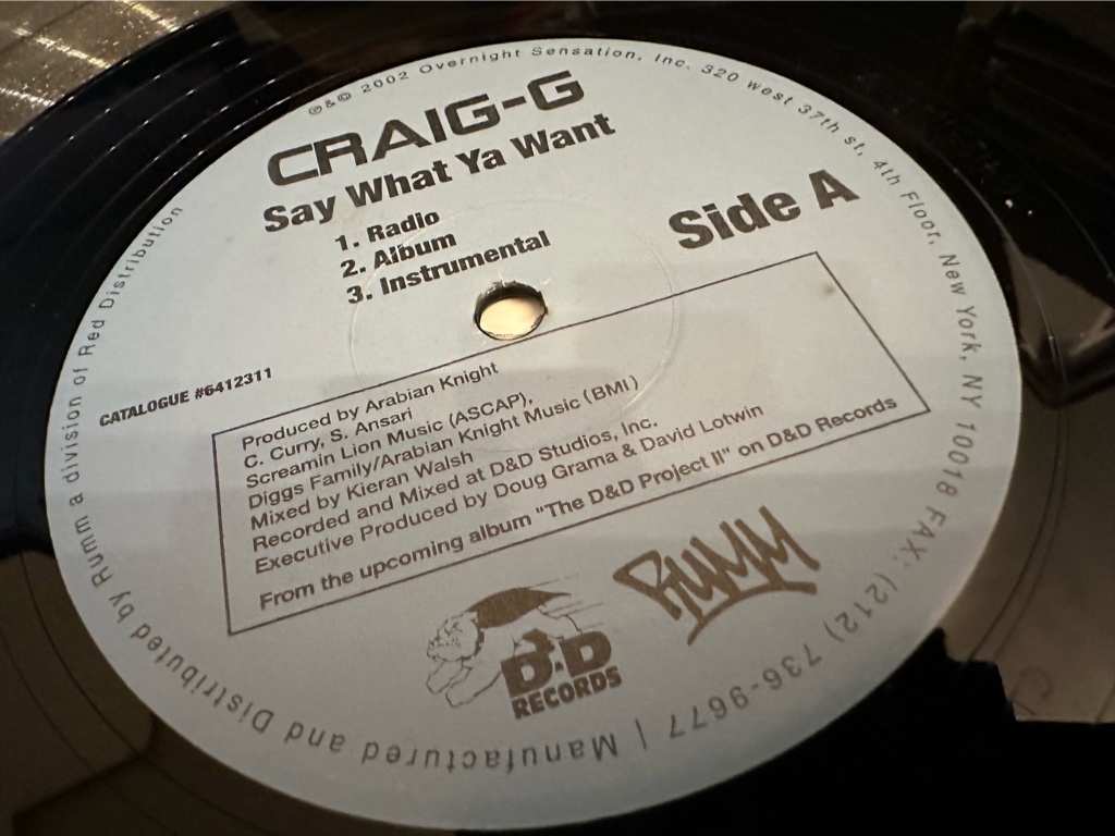 12”★Craig-G / Say What You Want / The Executioner Song_画像1