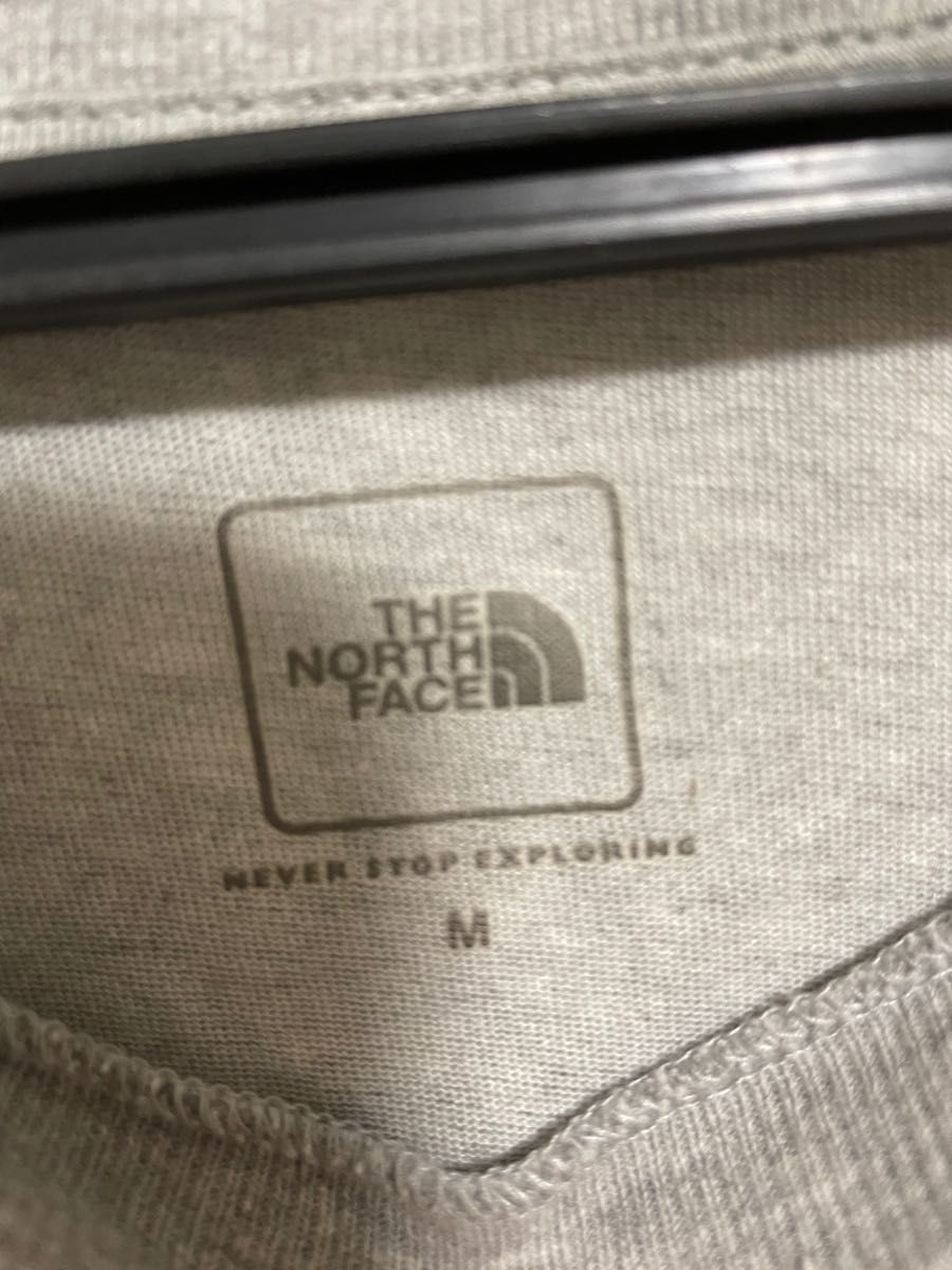 THE NORTH FACE ザノースフェイス ロゴプリントTシャツ メンズM