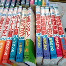 花とゆめ　っポイ！ 15冊　他 やまざき貴子　一条ゆかり　池野恋　水沢めぐみ　弓月ひかり　楓野みかる　当時物　41冊　⑥_画像3