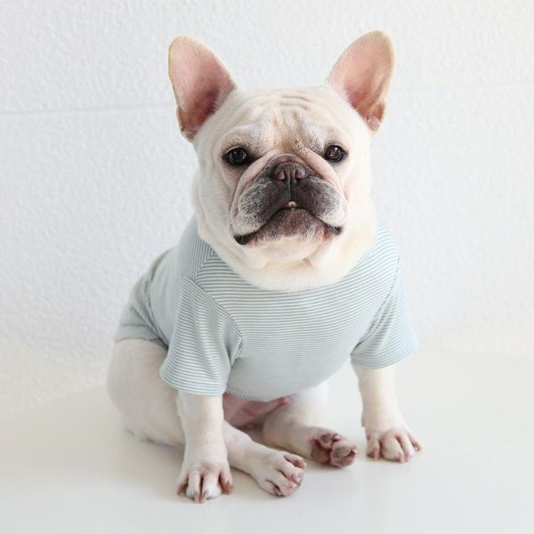 アクアXLサイズ◆【残り数枚】犬服 中型犬用 ドッグ くまさん ボーダー Tシャツ 熊 ベア カットソー 新作 ペット 新品 春 夏 秋 犬用品_画像4