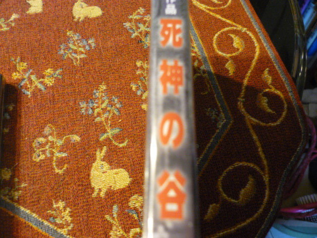 国内製造DVD /WHDジャパン　「死神の谷」　フリッツ・ラング　1921年　モノクロームサイレント_画像4
