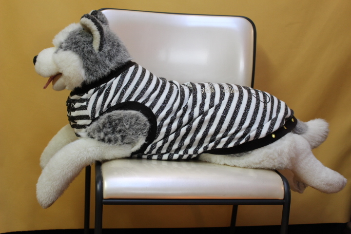 ぬいぐるみ・シベリアンハスキー・大型犬・洋服付き・全長90㎝・ヒップ80㎝・高さ40㎝_横からのスタイルです。