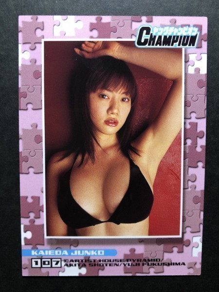 海江田 純子　ヤングチャンピオン 2004　107　水着 グラビア アイドル トレカ トレーディングカード_画像2