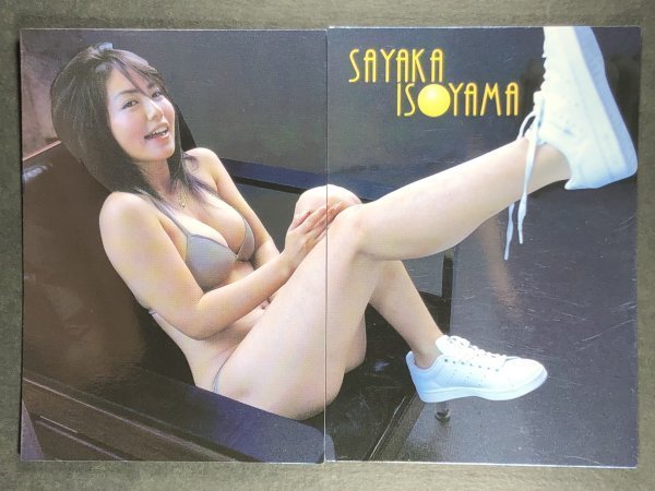 磯山 さやか　BOMB・ボム 2005　008・009　2枚セット　スペシャルミラーカード　水着 グラビア アイドル トレカ トレーディングカード_画像1