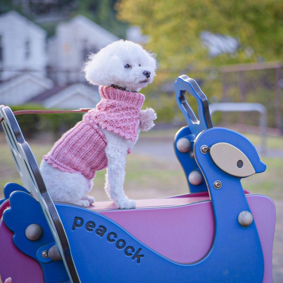 ハンドメイド　S ポンチョ風ネックウォーマー　犬服　犬小物　犬マフラー　被りタイプ　編み物　ペット用　　ニット　Knit