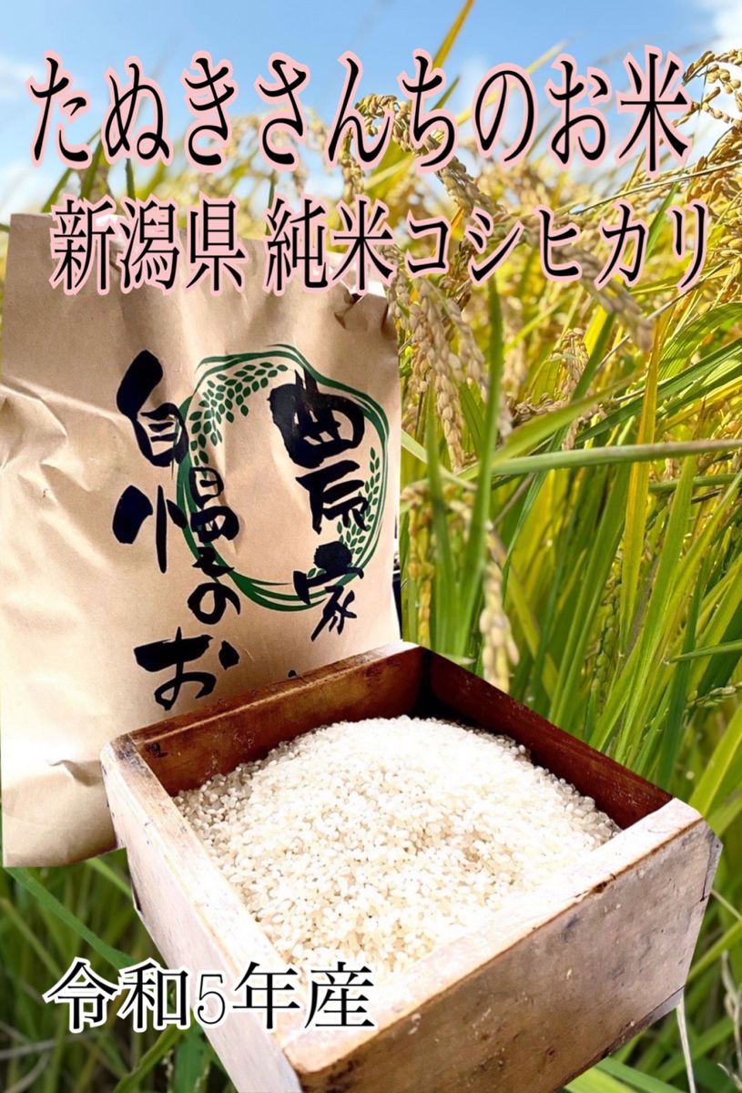 たぬきさんちのお米 新潟県産純米コシヒカリ5kg