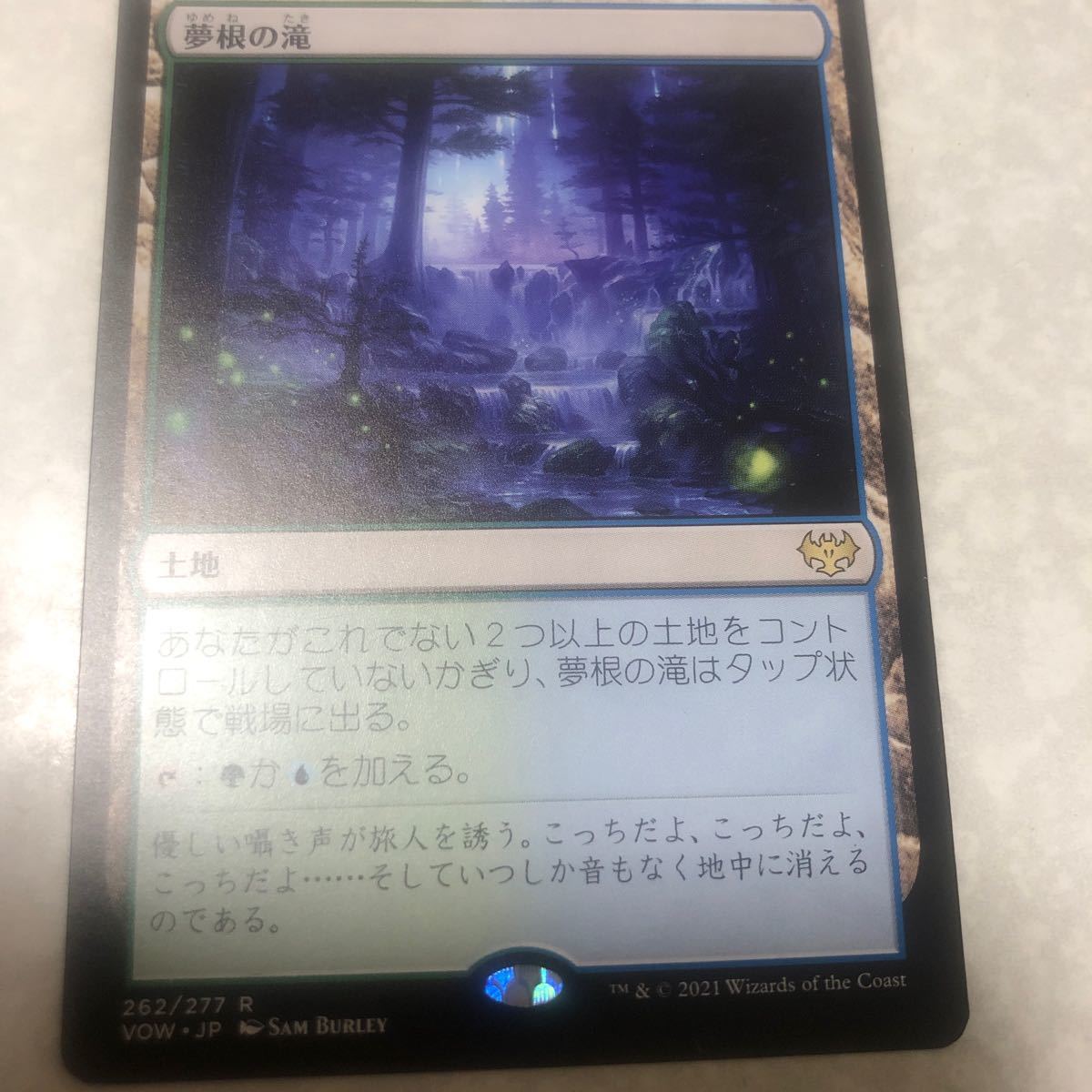 同梱発送歓迎！　MTG 夢根の滝　日本語版_画像1