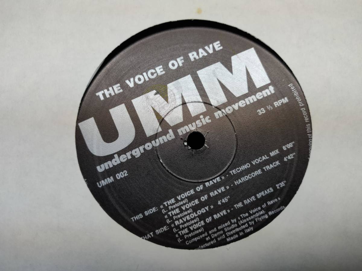 The Voice Of Rave - The Voice Of Rave Underground Music Movement アナログ レコード LP 12インチ テクノ_画像3