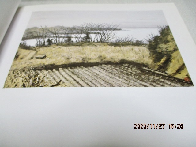 『山本丘人 　　　　成川コレクション』　　　1989年　　　　成川美術館_画像6