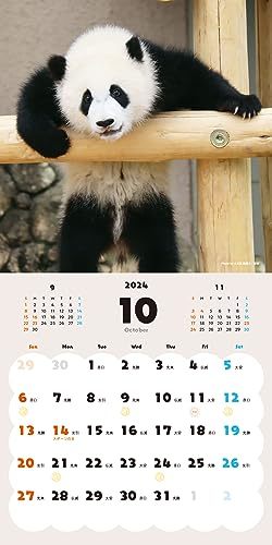 ハッピー＆ラッキーパンダ カレンダー 2024_画像3