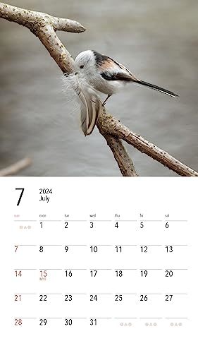 カレンダー2024 白い妖精シマエナガ（月めくり/壁掛け） (ヤマケイカレンダー2024)_画像3