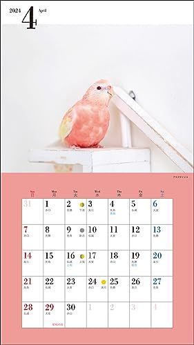 2024年カレンダー かわいい小鳥 (誠文堂新光社カレンダー)_画像9