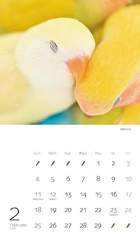 カレンダー2024 かわいんこ インコと小鳥のカレンダー（月めくり/壁掛け） (ヤマケイカレンダー2024)_画像9
