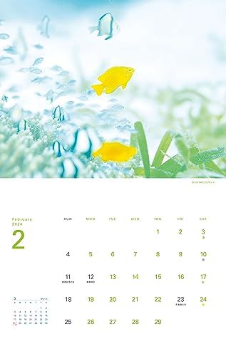  календарь 2024. вместе .. мир один красивый море ( месяц .../ орнамент ) (yama Kei календарь 2024)