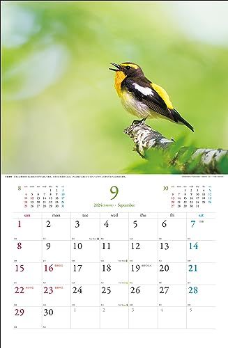 2024 野鳥カレンダー_画像4