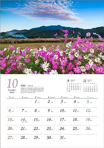 京都名所カレンダー2024_画像3