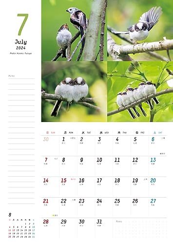 いっぱい書けるカレンダー ふわもふシマエナガといっしょCalendar+Memo 2024 カレンダー