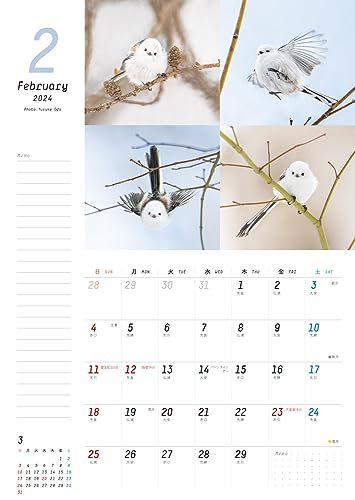 いっぱい書けるカレンダー ふわもふシマエナガといっしょCalendar+Memo 2024 カレンダー