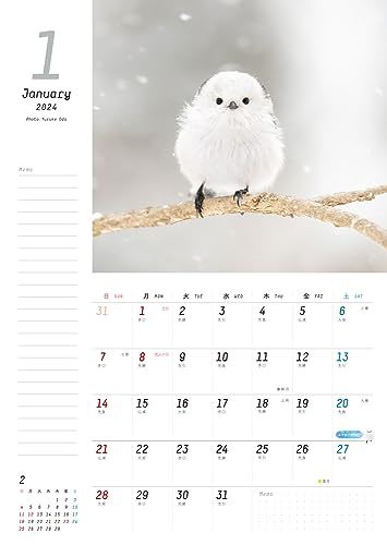 いっぱい書けるカレンダー ふわもふシマエナガといっしょCalendar+Memo 2024 カレンダー