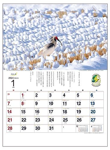 2024年 壁掛け 天地の農カレンダー（日本の農業風景）54 x 37.5cm KD-2_画像2