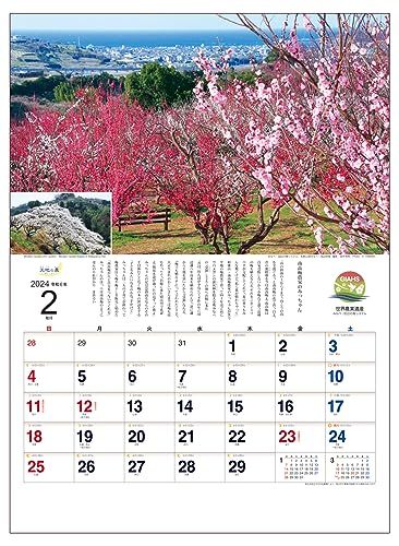 2024年 壁掛け 天地の農カレンダー（日本の農業風景）54 x 37.5cm KD-2_画像3