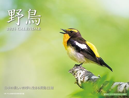2024 野鳥カレンダー_画像1