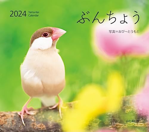 カレンダー2024 ぶんちょう（月めくり/壁掛け） (ヤマケイカレンダー2024)_画像1