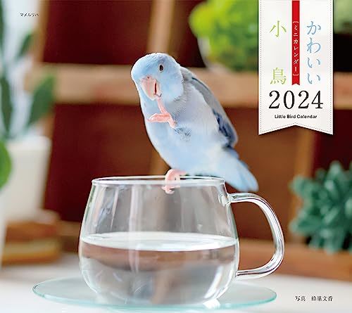 2024年カレンダー かわいい小鳥 (誠文堂新光社カレンダー)_画像1